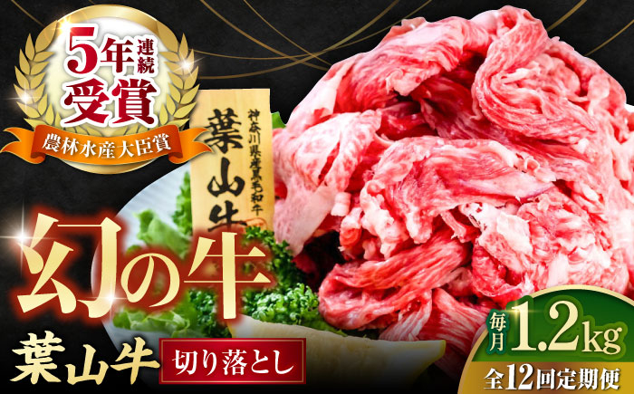 
【全12回定期便】葉山牛 切り落とし300g×4パック 小分け 牛肉 切り落とし 横須賀 冷凍 計1.2kg【株式会社羽根】 [AKAG035]
