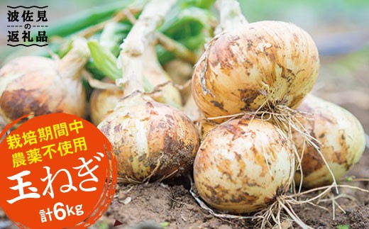 
                  【先行予約】【栽培期間中肥料・農薬不使用】玉ねぎ 6kg【浅田峠自然塾】 [EA03] 自然 たまねぎ 玉ねぎ 栽培期間中農薬不使用 タマネギ 
                