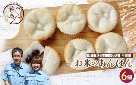 グルテンフリー お米のあんぱん 6個セット 低糖質 糖質オフ ヘルシー 米粉 おやつ 朝食 軽食 F21T-237