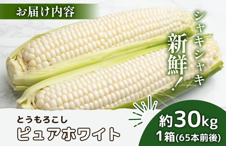 【先行予約】上原農場直送 有機栽培とうもろこし (ピュアホワイト)  約30kg 約65本前後 | ふるさと納税 北海道 中標津 なかしべつ とうもろこし ピュアホワイト とうきび コーン 野菜 夏野