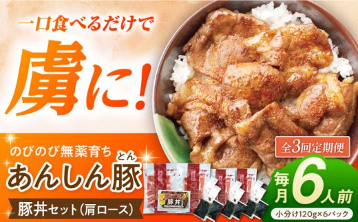 【3回定期便】豚丼セット 豚肉 肩ロース 国産 白川町 / 藤井ファーム [AWAF013]