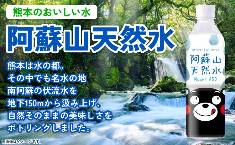 【3ヶ月定期便】熊本のおいしいお水 阿蘇山天然水 500ml×48本（2ケース）