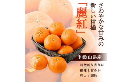【和歌山有田産】麗紅 約4kg (サイズおまかせ) れいこう  ※2024年2月中旬頃～4月上旬頃に順次発送予定【krw012-r-4】