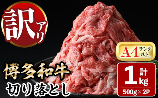 ＜訳あり＞博多和牛切り落とし(計1kg・500g×2P)牛肉 黒毛和牛 国産 化粧箱 贈答 ギフト プレゼント 小分け＜離島配送不可＞【ksg0290】【MEATPLUS】