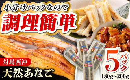 対馬産 あなご 天ぷら・煮付用 5パック[WCS011] 冷凍配送 小分け アナゴ 新鮮 海鮮 冷凍  