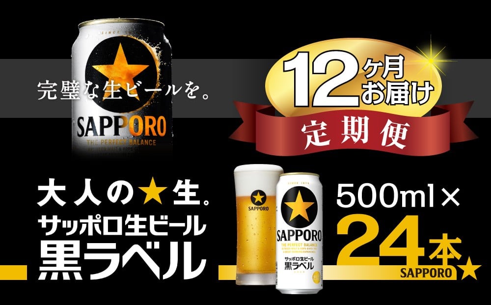 
                  【12か月定期便】サッポロ ビール 黒ラベル 生ビール 500ml×24本 千葉県 船橋市 缶ビール お酒 12カ月定期便
                
