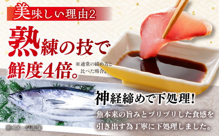 【五島列島・直送】朝獲れ！鮮魚セット2kg 鯛福丸水産/五島市 [PDP008]