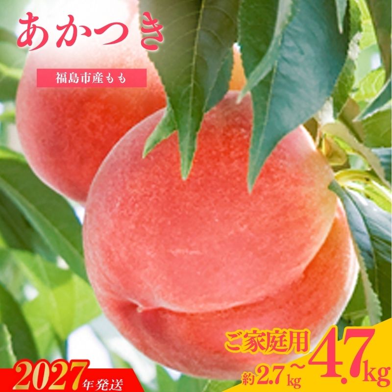 【ふるさと納税】もも 「あかつき」 ご家庭用　約2.7kg 約4.7kg【2027年発送　先行予約】 福島 ふくしま 白桃 みちのく観光果樹園 旬 くだもの 果物 フルーツ 桃 20000円以下