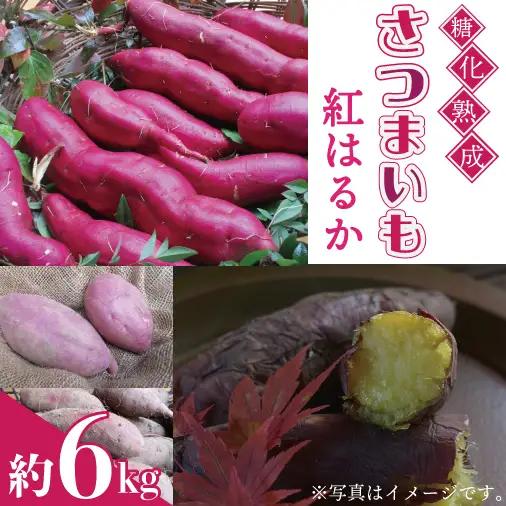 紅はるか 6kg さつまいも AU001-2
