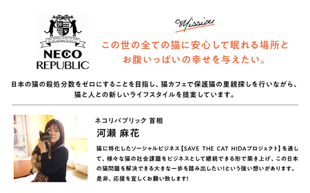 保護猫シェルターサポーター 1年間 権利 SAVE THE CAT HIDA PROJECT ねこ ネコ 猫 支援 保護猫ライフ 観光 旅行 体験[Q2718]