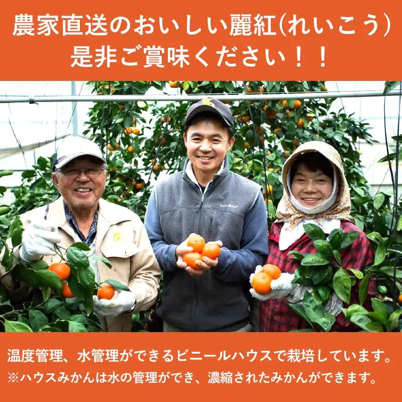 『先行予約』【令和9年1月下旬発送】麗紅(れいこう）ハウス栽培 唐津産 5kg 混合サイズ みかん 蜜柑 柑橘 果物 フルーツ