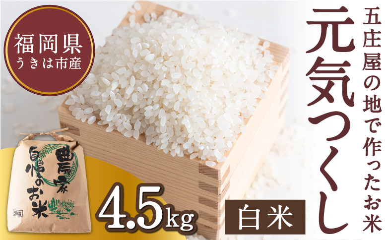 
            【特Aランク米】五庄屋の地で作ったお米 元気つくし 白米 (4.5kg)【2025年10月上旬より順次発送予定】こめ コメ ごはん ご飯 福岡県うきは市産 九州産
          