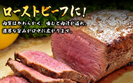 【訳あり】博多和牛モモブロック（ローストビーフ用等）約500g~600g＜株式会社MEAT PLUS＞那珂川市 牛肉 肉 赤身 黒毛和牛 ブランド牛 国産  BBQ バーベキュー 15000 1500