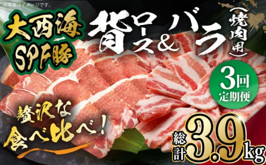 【月1回約1.3kg×3回定期便】大西海SPF豚 背ロース＆バラ（焼肉用）計3.9kg 長崎県/長崎県農協直販 [42ZZAA105]