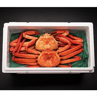ふるさと納税 射水市 新湊産紅ズワイガニ・孫七タグ付き(約1kg×2尾) |  | 02