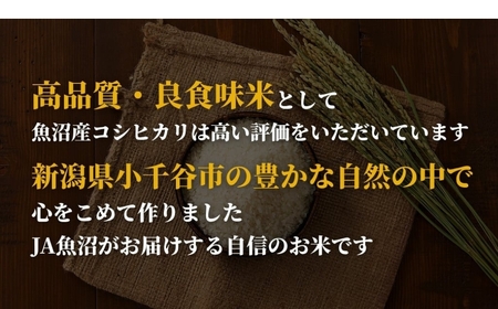 【令和7年産】新潟産コシヒカリ「おぢや米」 定期便 45kg（15kg×3回）