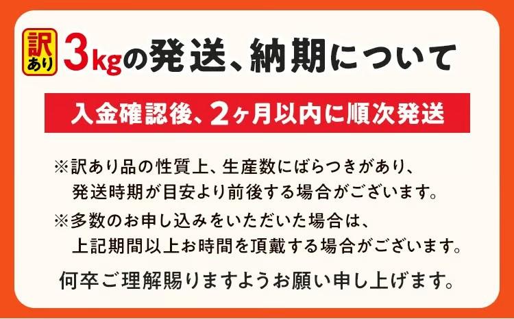 【数量限定】訳あり!やみつきJUMBOポークフランク!合計3.0kg!