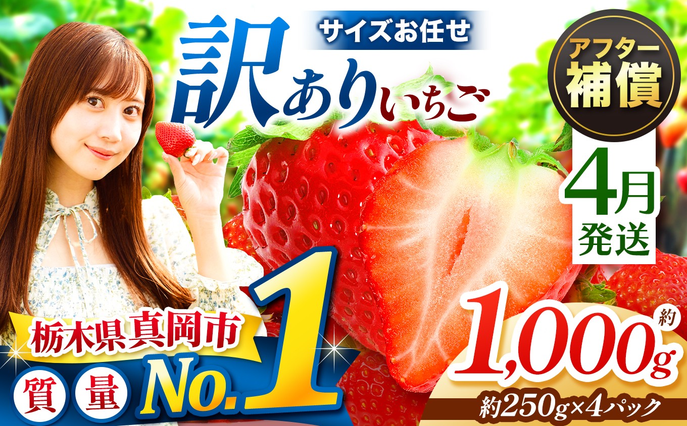
                   【先行予約】【4月発送】訳あり とちあいか サイズ お任せ 約1000g （250g×4パック） | 4月 デザート 果物 フルーツ 苺 イチゴ 2027年分   栃木県 真岡市 送料無料
                