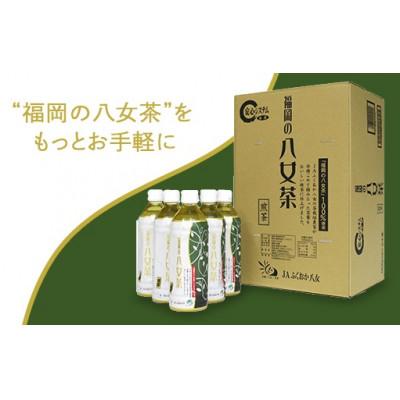 ふるさと納税 八女市 【産地直送】福岡の八女茶 煎茶ペットボトル(500ml×24本) |  | 01
