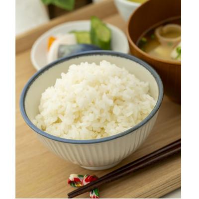 ふるさと納税 酒田市 山形県産　はえぬき5kg　令和7年産 |  | 02