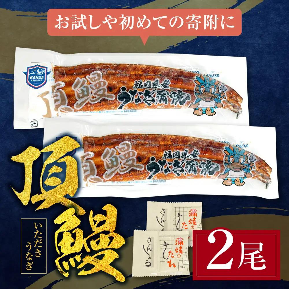 Y36-16 頂鰻 福岡県産うなぎの蒲焼 2尾セット