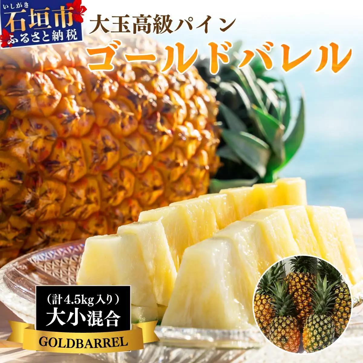 パイナップル ＜先行予約＞【訳あり】石垣島産 ゴールドバレルパイン 大小混合セット 約4.5kg 　SI-7-1