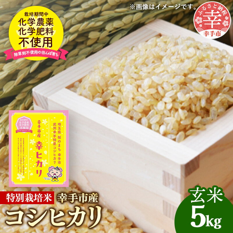 【ふるさと納税】【令和7年産】無農薬・無化学肥料栽培 埼玉県幸手市産特別栽培コシヒカリ 「幸ヒカリ」玄米5kg - 新米発送 コシヒカリ こしひかり 米 玄米 5kg 特別栽培米 幸手市産 埼玉県 幸手市