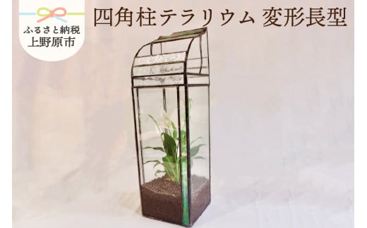 【インテリア】四角柱テラリウム＜変形長型＞