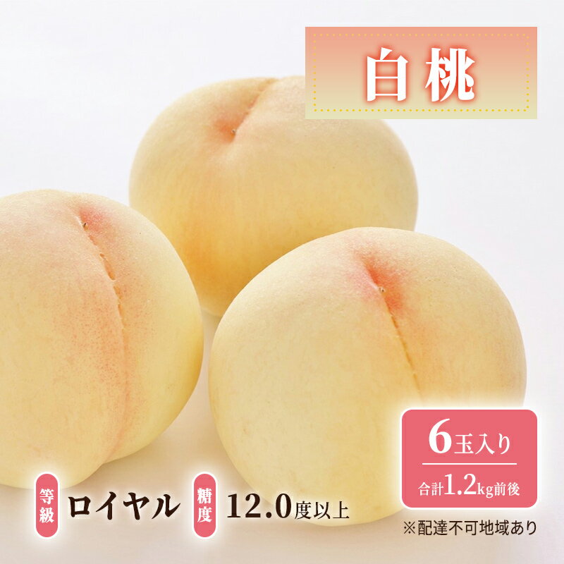 【ふるさと納税】桃 2026年 先行予約 白桃 等級: ロイヤル 糖度12.0度以上 6玉入り 合計1.2kg前後 もも モモ 岡山県産 国産 フルーツ 果物 ギフト 　お届け：2026年7月上旬～2026年8月中旬