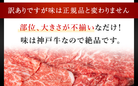 神戸牛 訳あり 切り落とし肉 1kg (500g×2P) AS8C17-ASGS2S | 神戸ビーフ 神戸肉 神戸牛 切り落とし 訳あり 神戸ビーフ 神戸肉 神戸牛 切り落とし 訳あり 神戸ビーフ 神