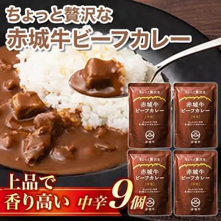 【ちょっと贅沢な】赤城牛ビーフカレー 中辛（9個）  カレー レトルト