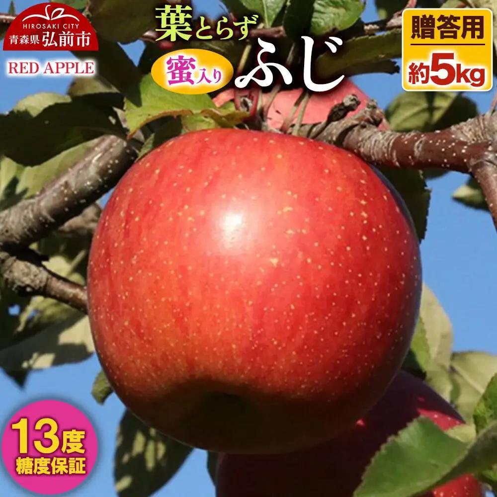 りんご 葉とらずふじ 約5kg【贈答用】りんご