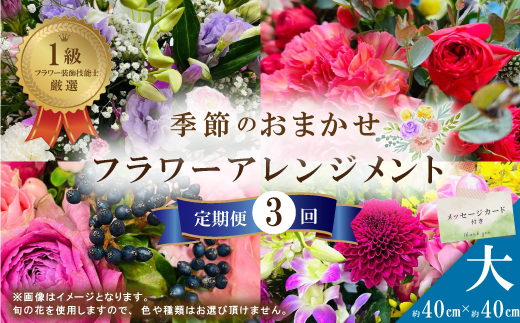 【3回定期便】＜1級フラワー装飾技能士が厳選＞季節のおまかせフラワーアレンジメント【生花】（大）R6-941