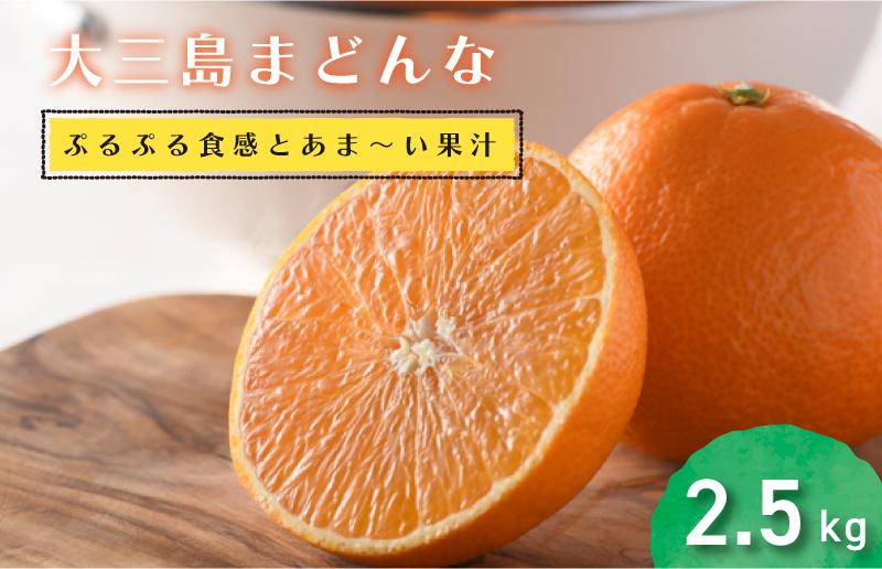 
            【先行予約】【数量限定】ホリ田ヤ 大三島まどんな 2.5キロ【KB00810】
          