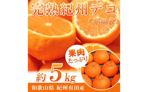 
            完熟紀州デコ(不知火) 約5kg　果肉プリプリ♪［2026年2月下旬以降発送］［先行予約］［UT43］
          