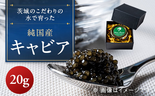 【先行予約】純国産キャビアVoeu-Pence　20g×1個【配送不可地域：離島・沖縄県】