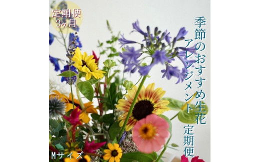 
《定期便3ヵ月》おすすめ生花アレンジメントM【らんまん 花 植物 お花 アレンジメント 高知 人気 おすすめ 送料無料】
