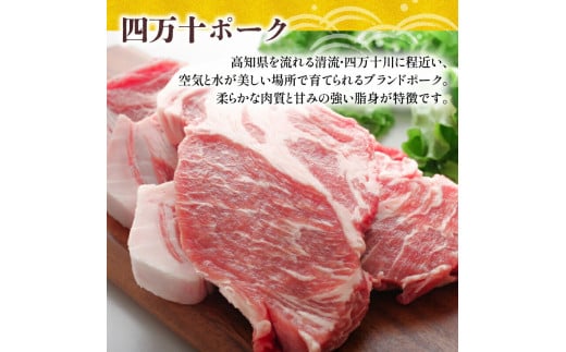 12ヶ月定期便 四万十ポーク入りハンバーグ 2.4kg(200g×12個) 冷凍 真空 小分け 個包装 肉汁たっぷり ハンバーグ 大容量 ハンバーグ 合挽き ハンバーグ 牛肉 ハンバーグ 豚肉 ハンバ
