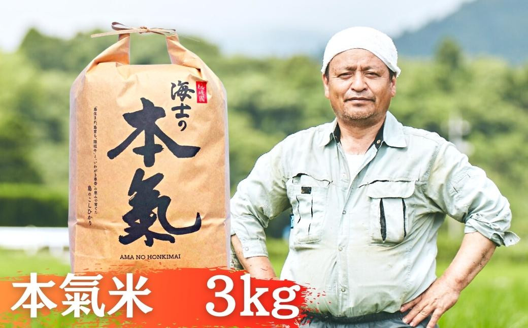 
            【令和6年度産 本氣米3kg】甘くてもっちり島のブランド米 本氣米 お米 精米 白米 弁当 ごはん ご飯 おにぎり  ギフト
          