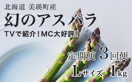 【令和9年産先行予約】幻のアスパラ Lサイズ 1kg 3回便 ラスノーブル 令和9年産 北海道 美瑛町 本山農場 グリーンアスパラ | グリーン アスパラガス アスパラ あすぱら あすぱらがす 採れたて ギフト 贈答 新鮮 旬 産地直送 野菜[042-16]