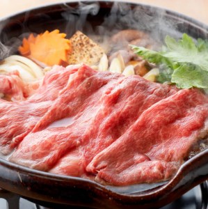 ※令和6年2月より順次発送※宮崎牛すき焼き用（赤身）500g 【 肉 牛肉 国産牛肉 宮崎県産牛肉 黒毛和牛 ミヤチク牛肉 牛肉すき焼き 牛肉しゃぶしゃぶ  牛肉焼きしゃぶ 牛肉すきしゃぶ 牛】