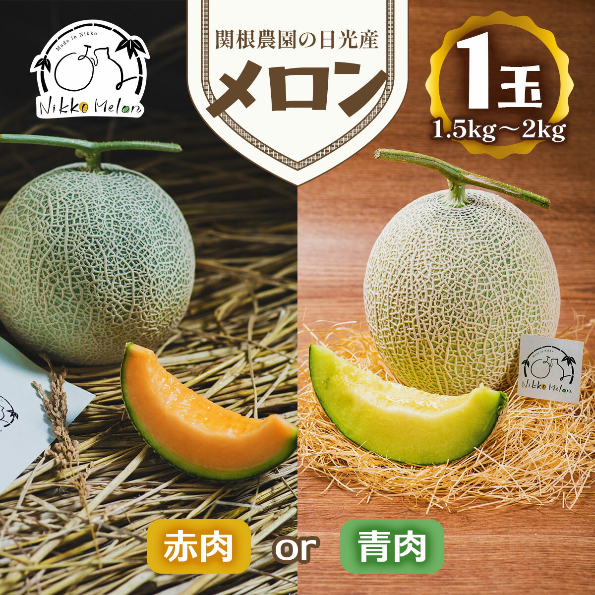 【ふるさと納税】関根農園の日光産 メロン 1玉 赤肉メロン／青肉メロン【2026年9月初旬より順次発送】｜先行予約 メロン 果物 くだもの フルーツ スイーツ 赤肉 日光市産 栃木県産 国産 [0849-0851]