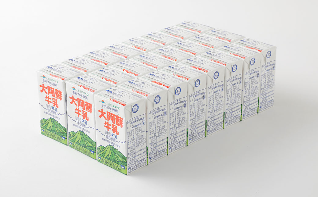 大阿蘇牛乳 250ml 計48本