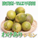 【ふるさと納税】 家庭用黒潮レモン 2kg+60g(傷み補償分) / 3kg+90g(傷み補償分) / 5kg+150g(傷み補償分) 【和歌山有田産】【防腐剤・WAX不使用、安心の国産レモン】【わけあり・訳あり】 ＜2024年9月～2025年4月下旬ごろに順次発送＞