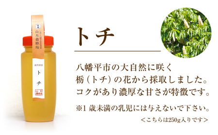 純粋はちみつ アカシア&トチ 各250g 【山本養蜂場】 ／ ハチミツ 蜂蜜 栃 とち あかしあ アカシヤ あかしや