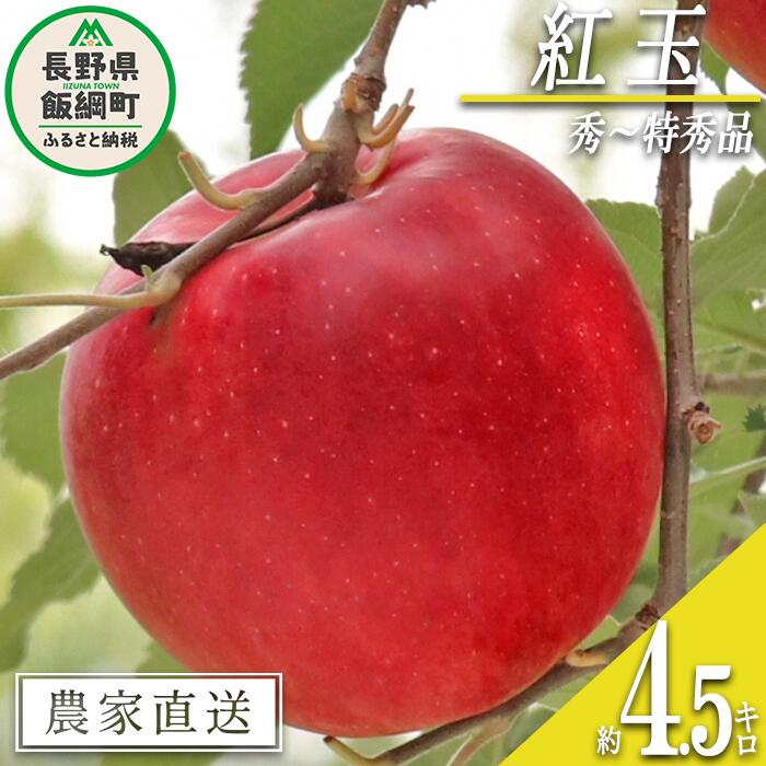 【ふるさと納税】 りんご 紅玉 秀 〜 特秀 4.5kg （〜23玉） ヒライ農園 沖縄県への配送不可 令和7年度収穫分 信州の環境にやさしい農産物認証 減農薬栽培 長野県 飯綱町 【 果物 フルーツ リンゴ 林檎 信州 長野 14500円 】発送期間：2025年10月上旬〜2025年10月中旬
