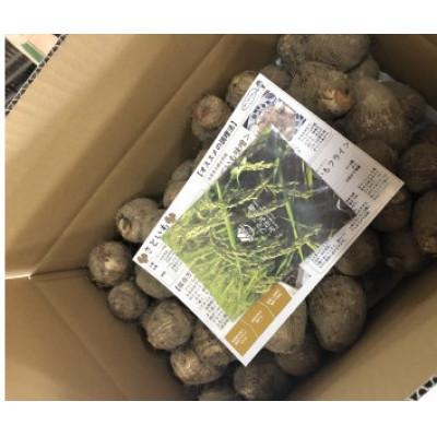 ふるさと納税 五泉市 【訳アリ】五泉産 大玉さといも 5kg(2L以上) |  | 02