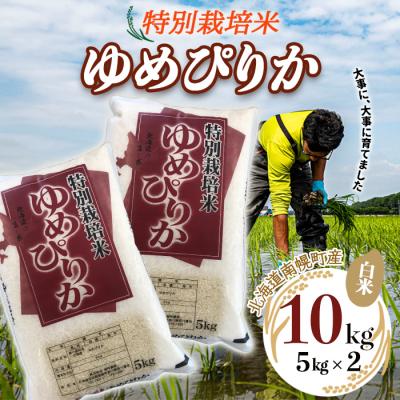 ふるさと納税 南幌町 北海道産 特別栽培米 ゆめぴりか 白米 5kg×2袋(10kg) 南幌町 空知 北海道米 今摺り米