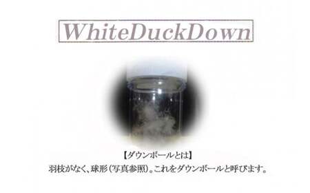 羽毛布団 シングル（G-19） ブルー系 フランス産 ホワイトダウン 85％ 抗菌 防臭