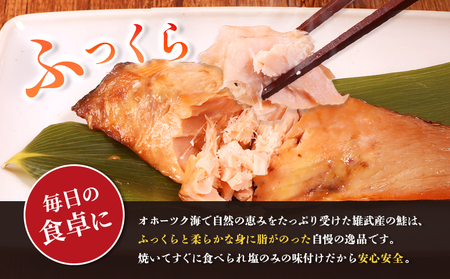 北海道産 新巻鮭切身1kg 不揃い【12437】